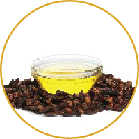 Herbal Hair Shampoo