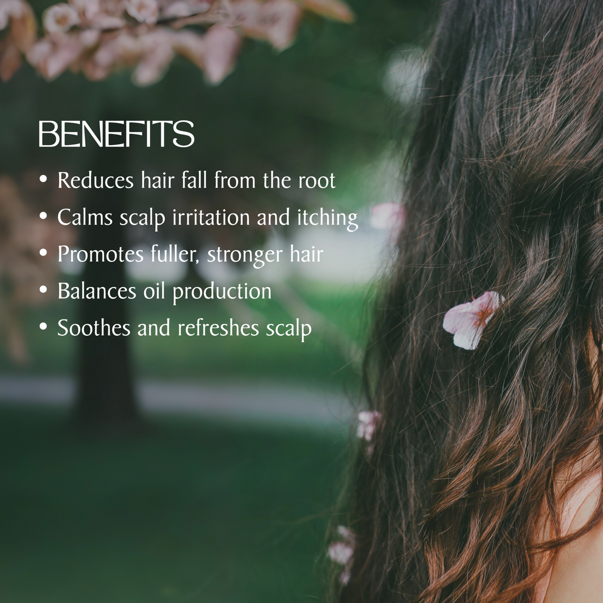 Herbal Hair Shampoo for Deep Cleansing and Shine